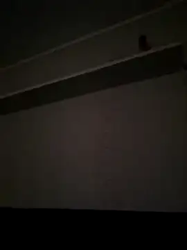 NibbleSweetie online show from 12.13.25