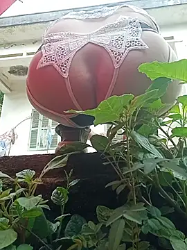 July-Asian online show from 05.24.26