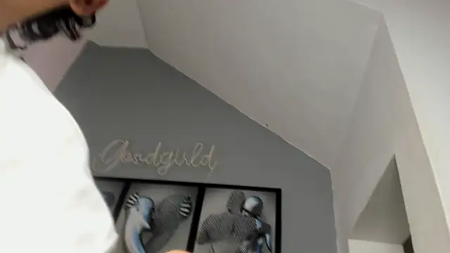 camillo virgil online show from 10.14.25