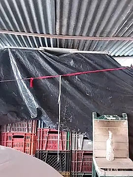 hoteder online show from 02.23.26