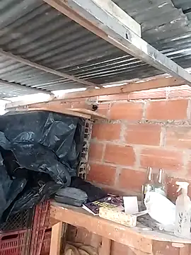 hoteder online show from 03.23.26