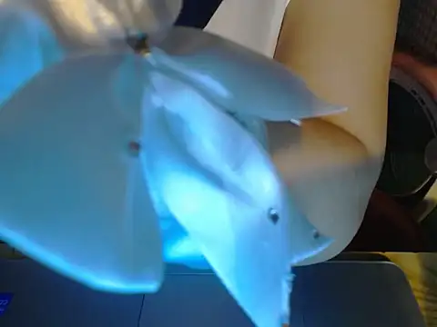 Snapshot of ahoa_Tk chatting on 10.25.25 ahoa Tk online show from 10.25.25