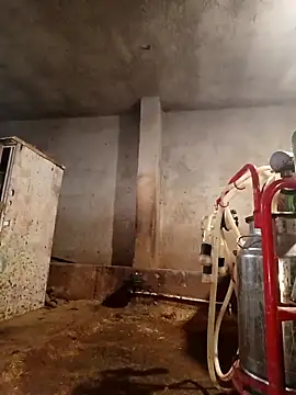 ezgi2545 online show from 02.22.26