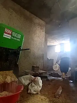 ezgi2545 online show from 03.02.26