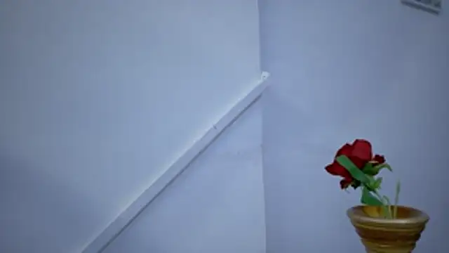 Lizbeth Rouse online show from 11.15.25