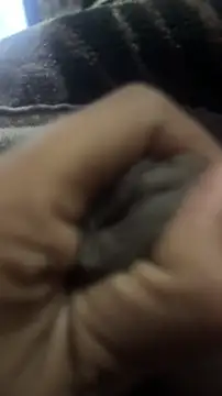 longfuckk online show from 12.20.25