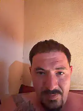 rodaisy online show from 03.03.26