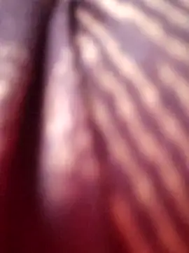 Tamilreethu online show from 10.05.25