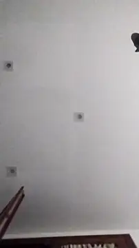 Snapshot of PearlingBunkbed chatting on 11.09.25 PearlingBunkbed online show from 11.09.25