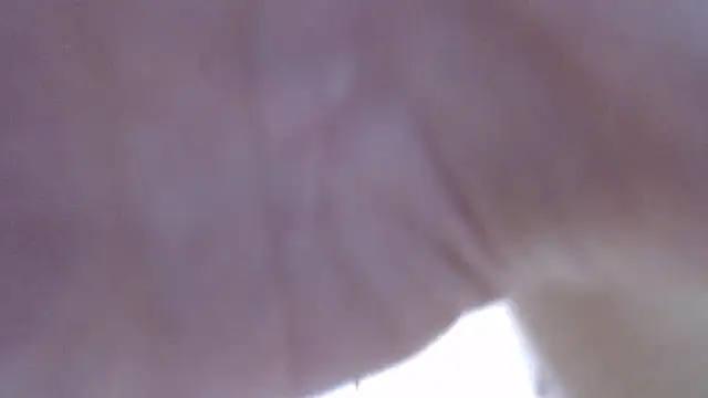 LillyDream2 online show from 02.16.26