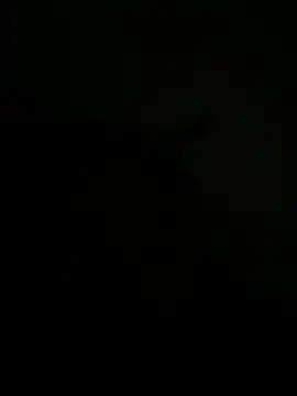 FirstTimeEvr online show from 07.07.26