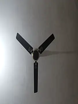 NoxiousFilename online show from 11.10.25