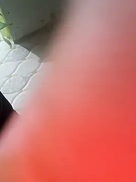 NoxiousFilename online show from 11.16.25