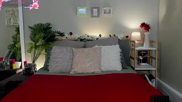 HotStellaaa online show from 11.27.25