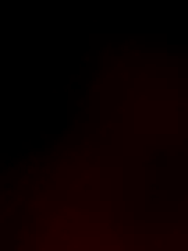 Snapshot of NonunionSilence chatting on 10.10.25 NonunionSilence online show from 10.10.25