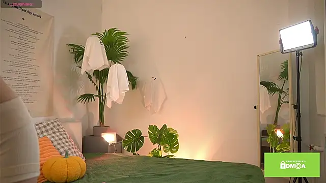 Snapshot of swtty_meivi chatting on 10.25.25 swtty meivi online show from 10.25.25