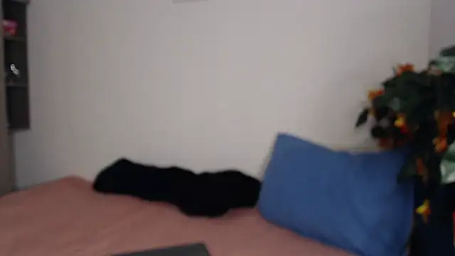   abrill   online show from 11.15.25