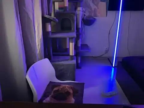 davesinner online show from 03.02.26