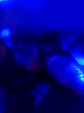 Snapshot of senacansu chatting on 10.26.25 senacansu online show from 10.26.25