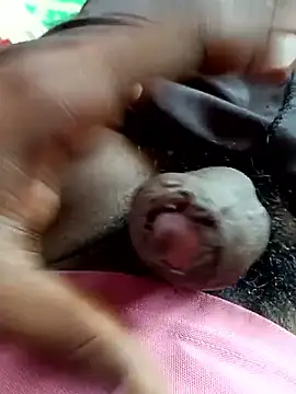 dolphiinn online show from 11.04.25