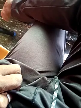 dolphiinn online show from 11.26.25