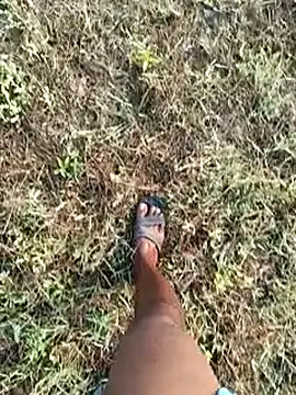 dolphiinn online show from 03.08.26