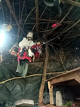 cute diya 12 online show from 11.05.25