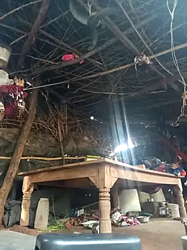 cute diya 12 online show from 11.11.25