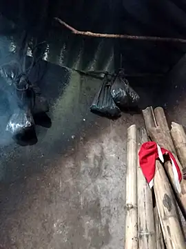  Helala  online show from 02.26.26