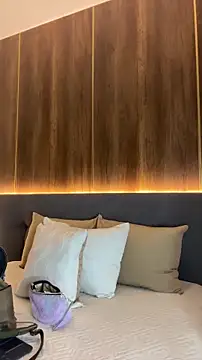 Snapshot of AliceRitter chatting on 11.04.25 AliceRitter online show from 11.04.25