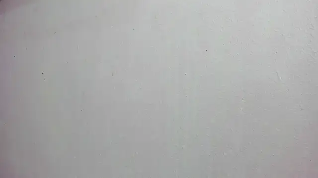 scarlett646 online show from 11.14.25