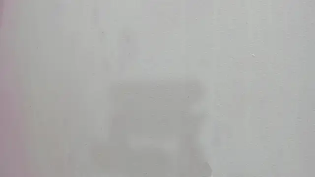 scarlett646 online show from 11.26.25