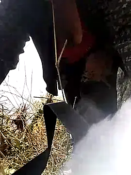 venu00 online show from 03.25.26