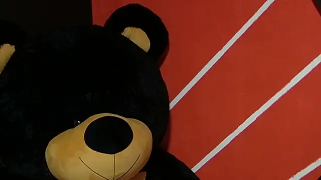 sany noa online show from 11.12.25