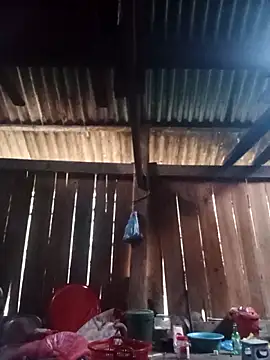 Snapshot of Ngocmi909 chatting on 03.06.26 Ngocmi909 online show from 03.06.26