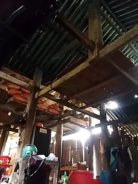 Snapshot of Ngocmi909 chatting on 03.11.26 Ngocmi909 online show from 03.11.26