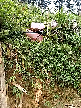 Snapshot of Ngocmi909 chatting on 03.19.26 Ngocmi909 online show from 03.19.26