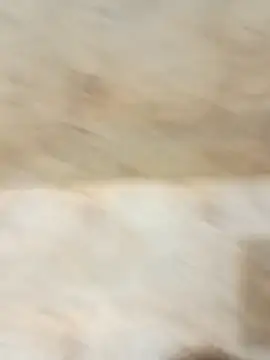 Snapshot of king_godgm chatting on 12.20.25 king godgm online show from 12.20.25