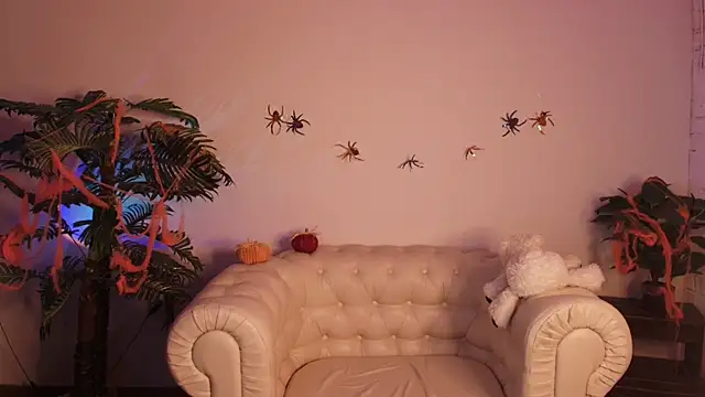 Moana light online show from 11.07.25