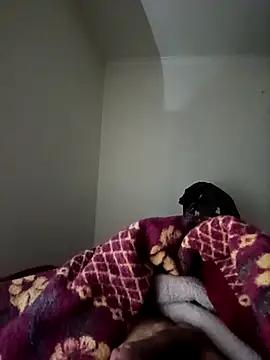 Snapshot of bomcasal chatting on 02.17.26 bomcasal online show from 02.17.26