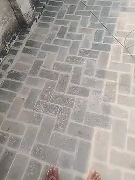 Snapshot of PunjabiSardarBull chatting on 11.20.25 PunjabiSardarBull online show from 11.20.25