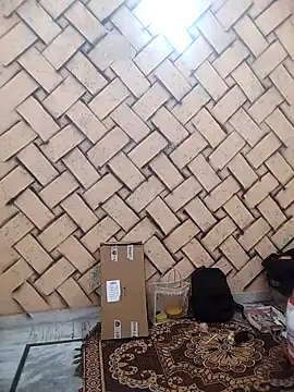 meenu bhabhi547 online show from 02.25.26