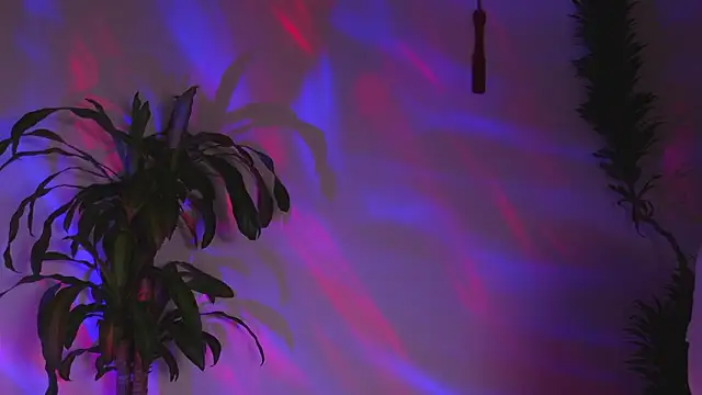 bri von dhara   online show from 03.07.26