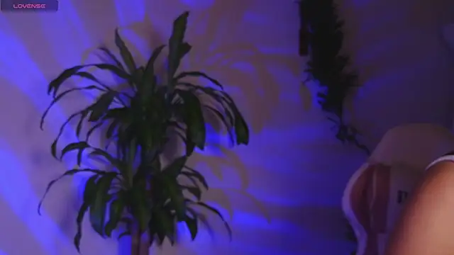 bri von dhara   online show from 04.26.26