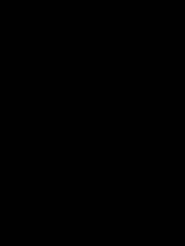 Jasmin Pink online show from 11.20.25