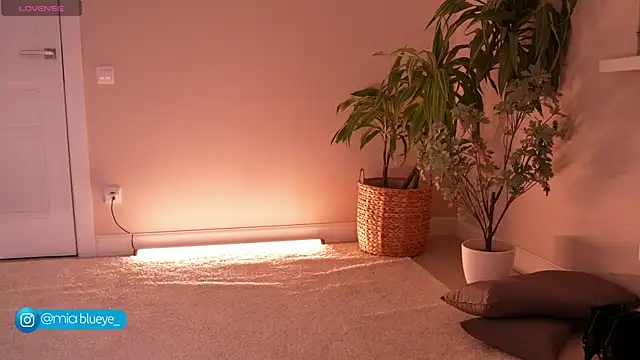 Snapshot of Miablueye chatting on 11.20.25 Miablueye online show from 11.20.25