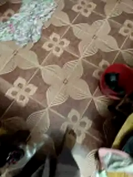 Snapshot of maddy3108 chatting on 12.05.25 maddy3108 online show from 12.05.25