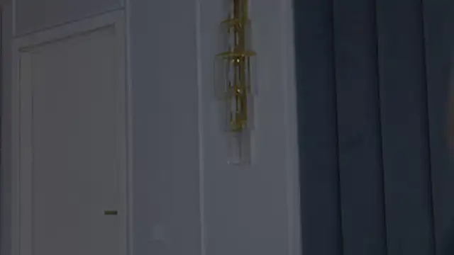 VioletAsh online show from 04.07.26