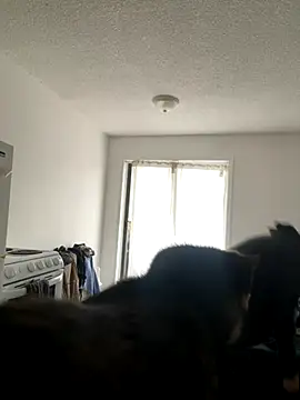 inked nekoo online show from 12.03.25