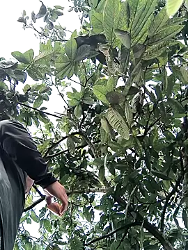 lamejorpene online show from 02.05.26